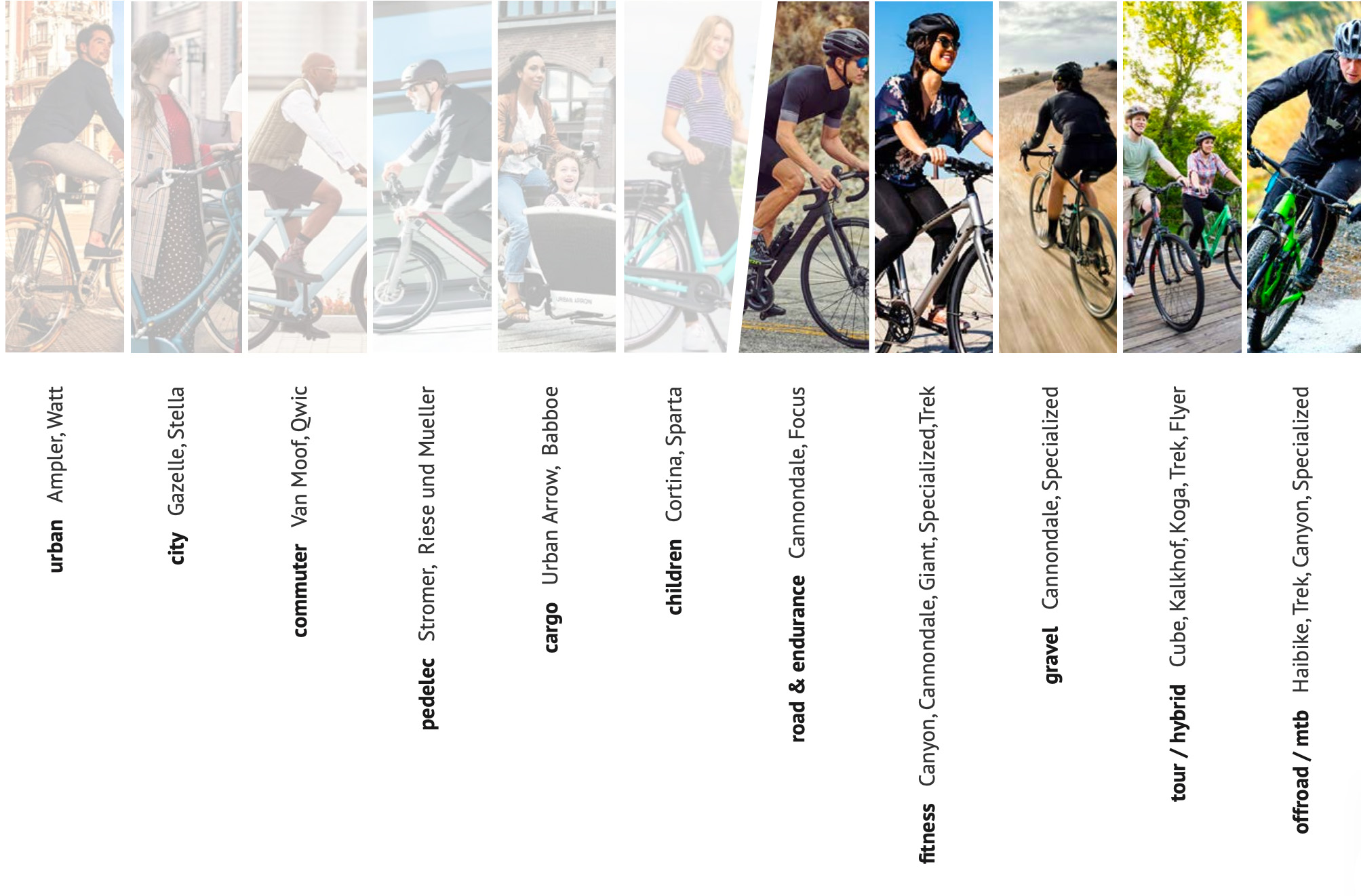 Développement de l'ebike, stratégie